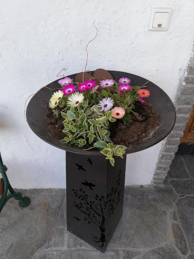 Fruehstueckspension Alpenrose Bed & Breakfast Iselsberg Bagian luar foto