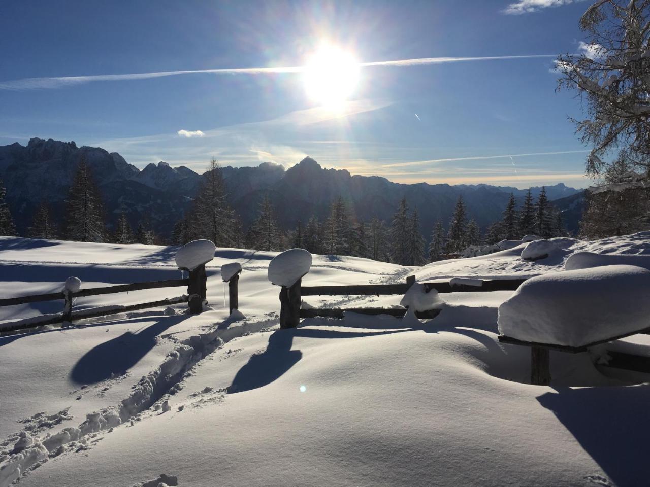 Fruehstueckspension Alpenrose Bed & Breakfast Iselsberg Bagian luar foto